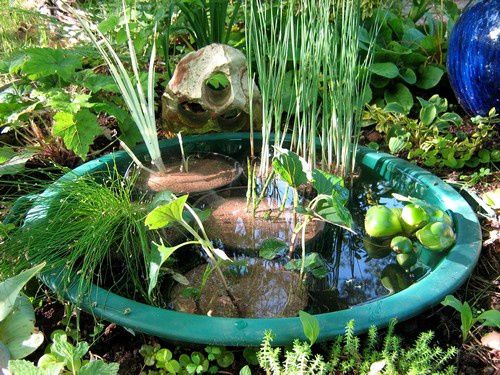 bassin d'eau en pot