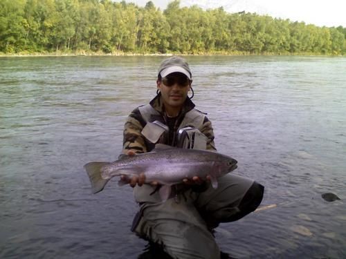 peche truite riviere isere