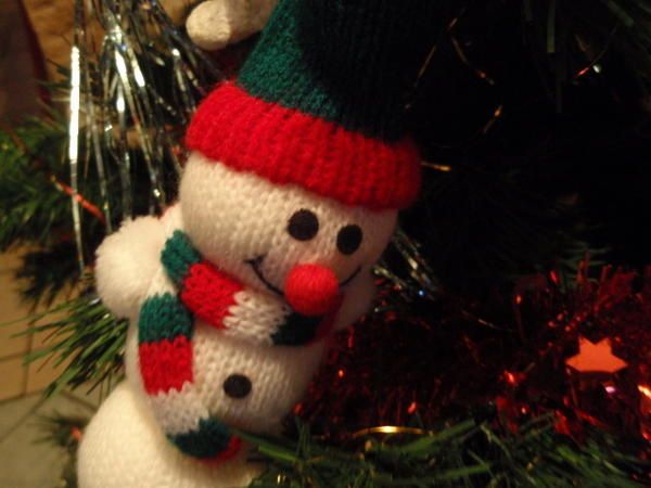 Bonhomme de Laine photo