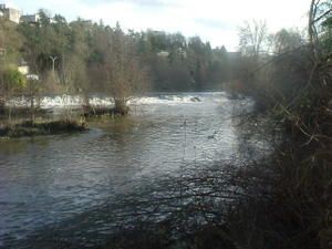 DSCF2588.JPG
