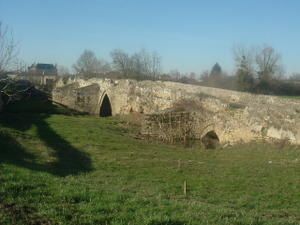 DSCF2610.JPG