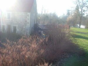 DSCF2616.JPG