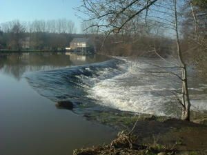 DSCF2650.JPG