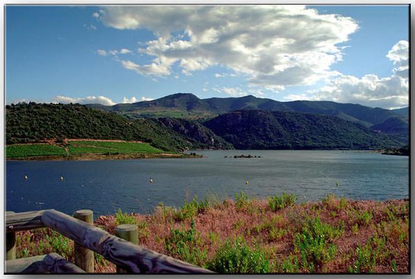 paysage-pyr--n--en-02-72.jpg
