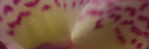 bDSC-0003.jpg