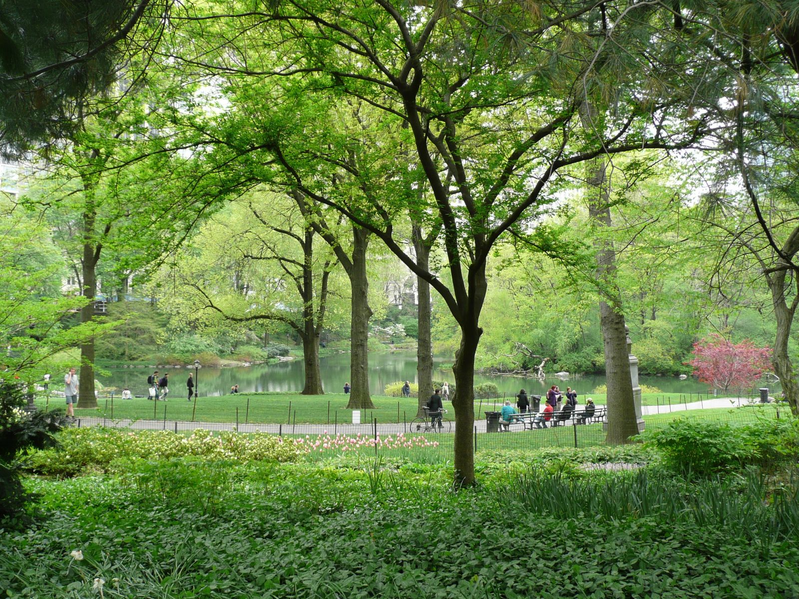 Central-Park--7-.jpg