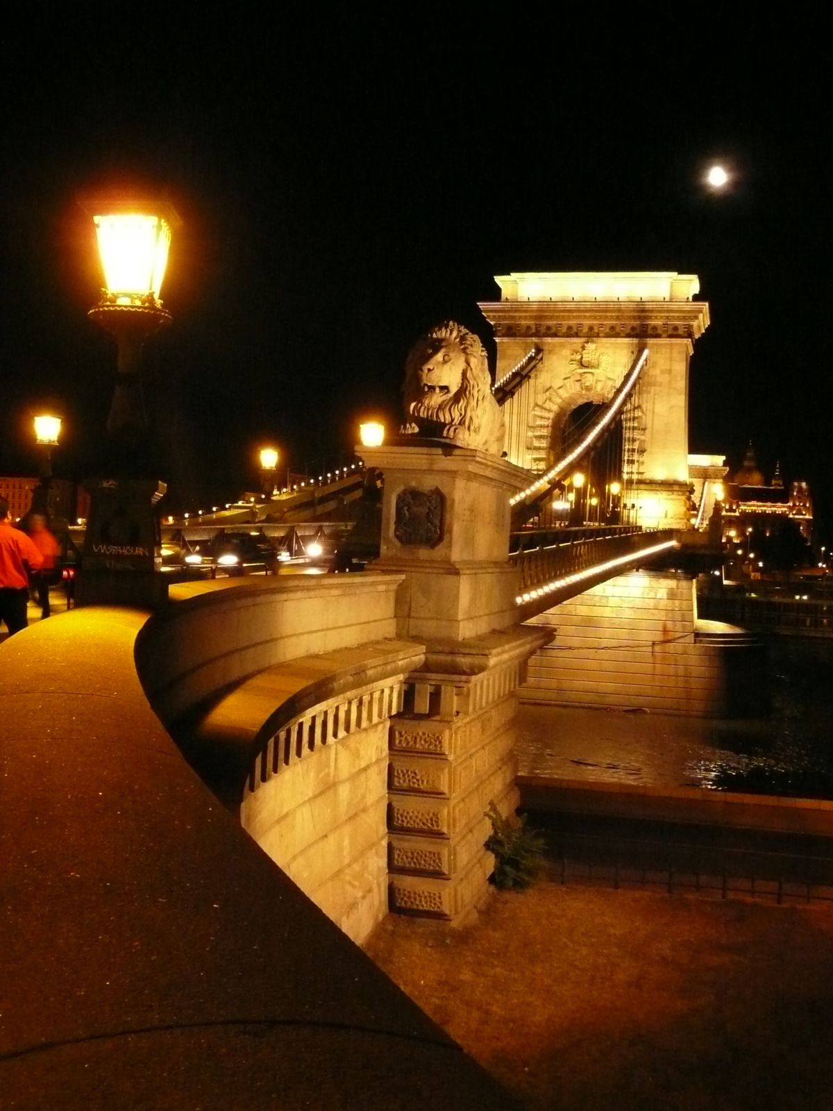 Pont-des-Chaines-de-nuit---lion.jpg