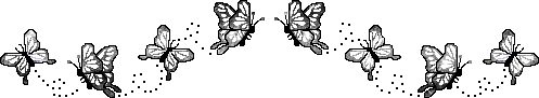 papillons gris