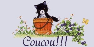 coucou1.jpg