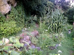 potager-septembre-2007vue-g--n--rale-copie-1.jpg