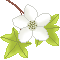 deco1.gif