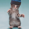 chat-rap.gif