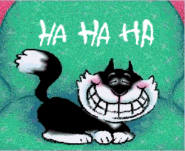 chat-ri.gif