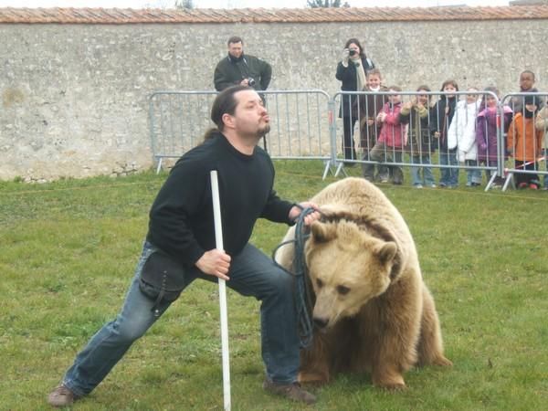rencontrer ours