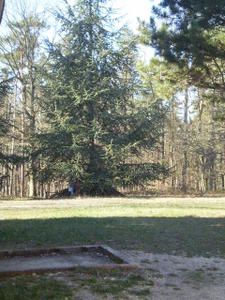 Photo-093.jpg