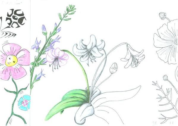 fleur.jpg