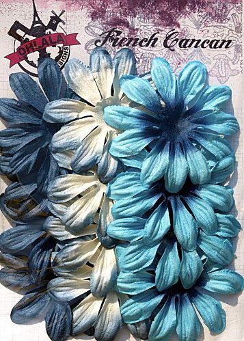 LPS14BL01---Fleurs-Longs-Petales-Bleu