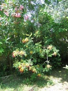 juin-016.jpg