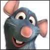 msn-remy.jpg
