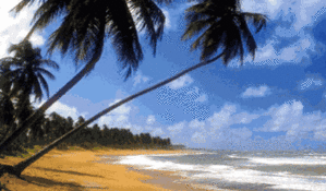 paysage025.gif