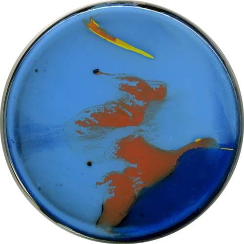 petri56.jpg