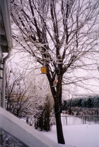 Verglas-1998--3-.jpg