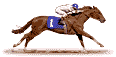 cheval-116.gif