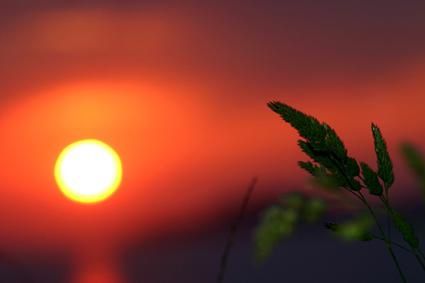 coucher-de-soleil-en-Bretagne-vu-sur-larn-et-theo.JPG