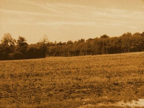 C001095.jpg