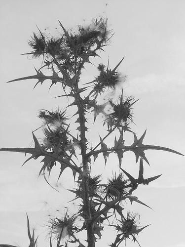 C001101.jpg
