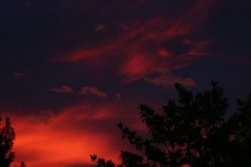Ciels-Skal-normal-251006-copie-1.jpg