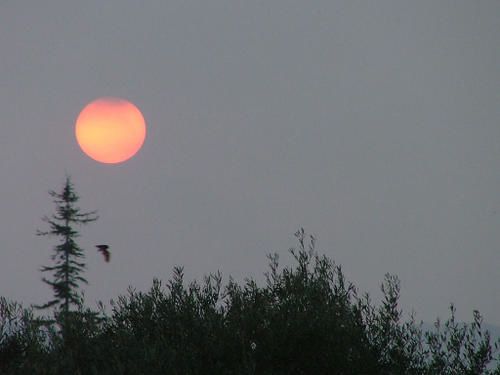 coucher-soleil-toulon-copie-1.jpg