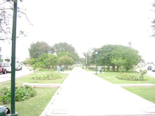 0110-003.jpg