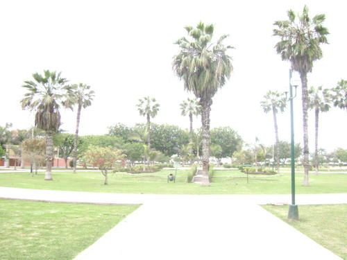 0110-004-copie-1.jpg