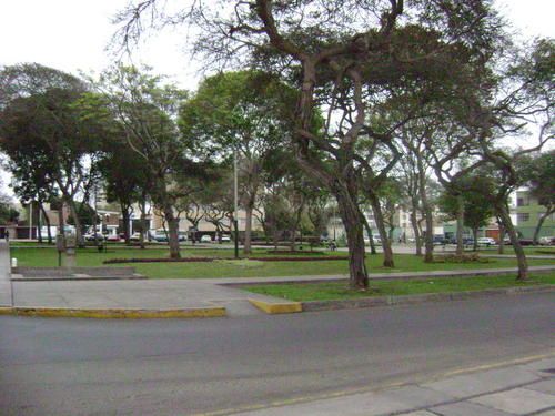 0510-002.jpg