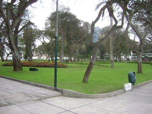 0510-006.jpg