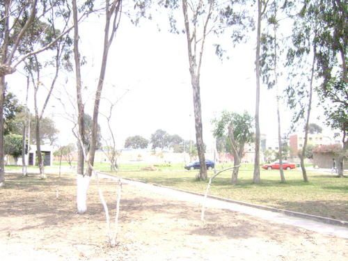 0710-008.jpg