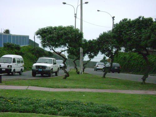 1409-005.jpg