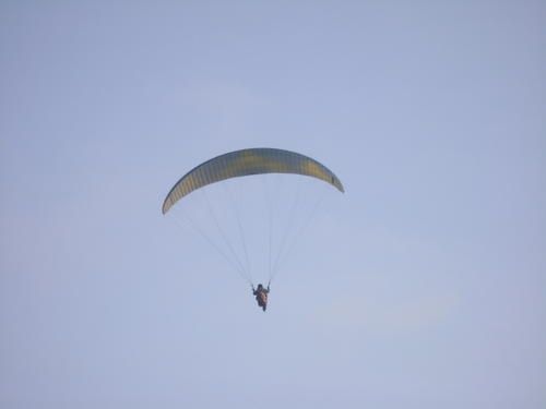 2010-001.jpg