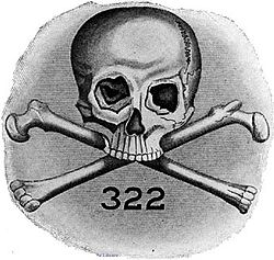 Skull---Bone-copie-1.png