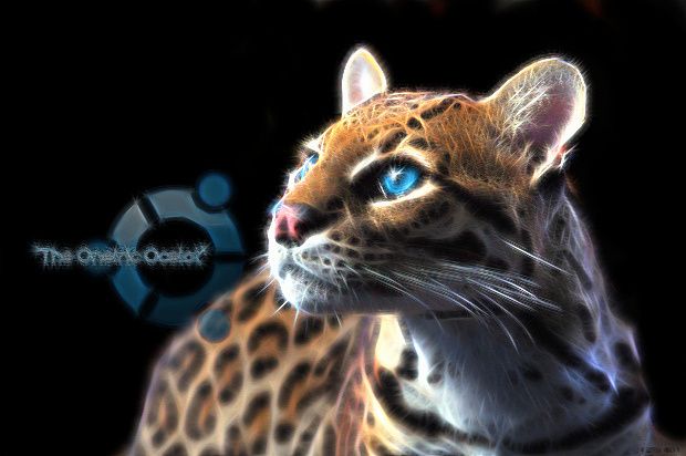 ubuntu-oneric-ocelot-mini2.jpg