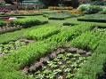 jardin.jpg