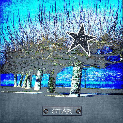 STAR2.jpg