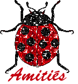 coccinelle_amiti_.gif