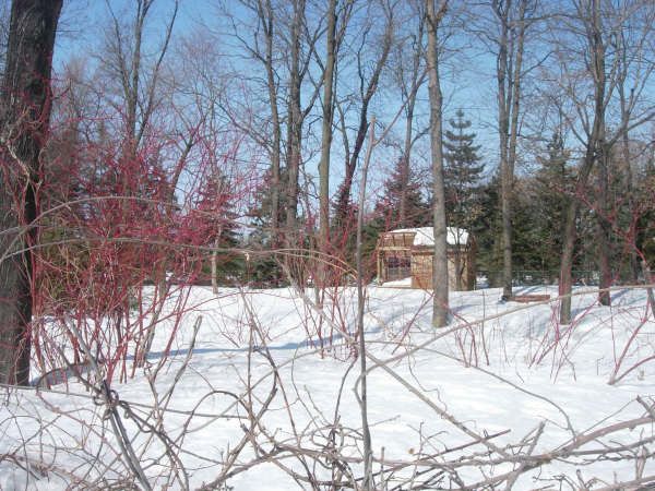 Parc de Maisonneuve