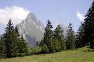 Guérir nejrodermit par les moyens nationaux
