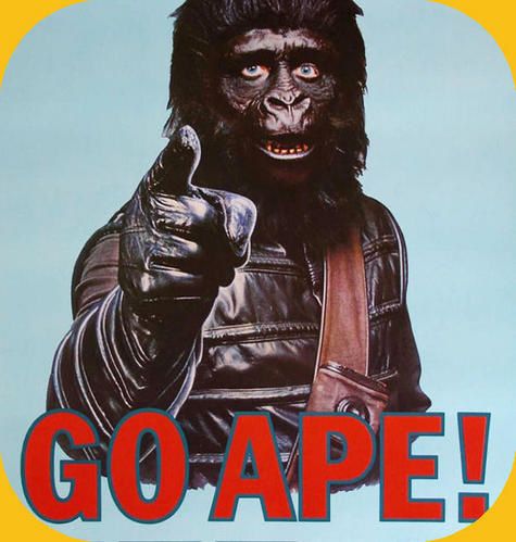 ape.jpg