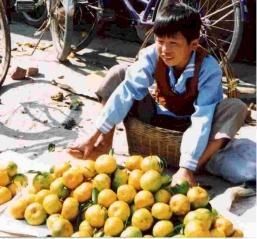 tiny-china-orange.jpg