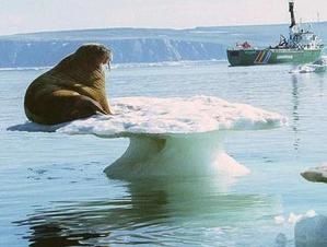 fonte-des-glaces-YAB.jpg