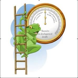 grenouille.jpg